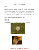 5_6307309995599856043 (1).pdf